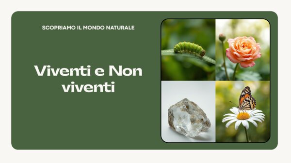 Esseri viventi e non viventi