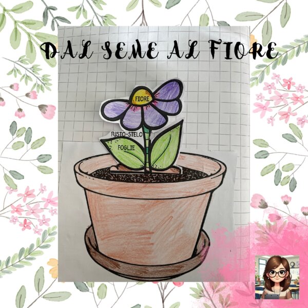 Dal seme al fiore: modellino da costruire