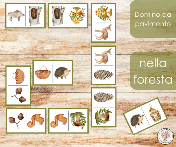 Domino da pavimento - nella foresta