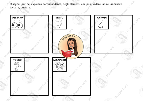 I cinque sensi