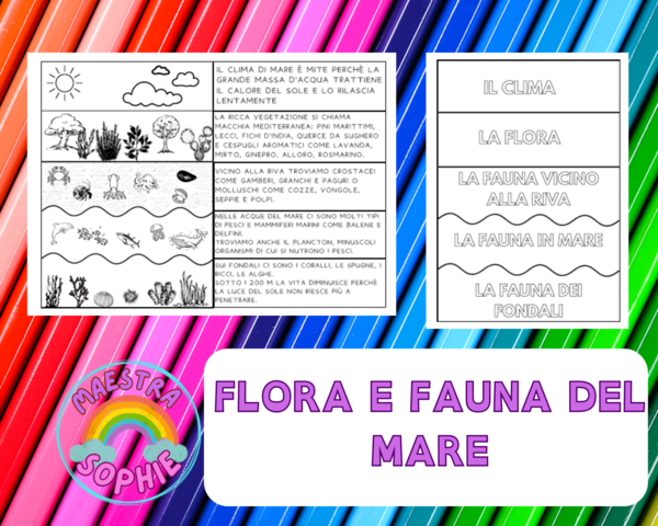 FLORA E FAUNA DEL MARE