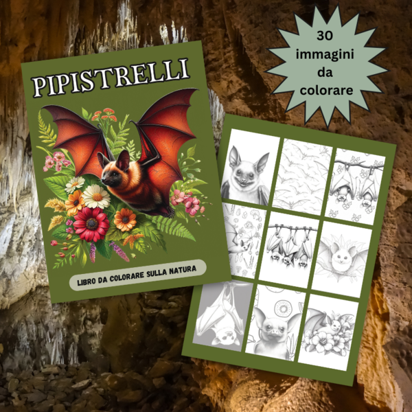 Libro da colorare sui pipistrelli Download. Pagine di animali selvatici da colorare. Adorabili mammiferi volanti: 30 immagini di alta qualità.