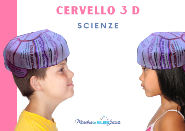 Cervello 3 D