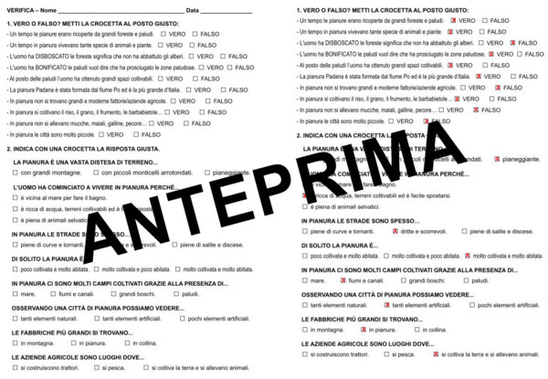 GEOGRAFIA: VERIFICA SULLA PIANURA CLASSE SECONDA SCUOLA PRIMARIA.