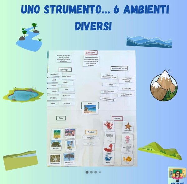 Impariamo gli ambienti terresti e acquatici!