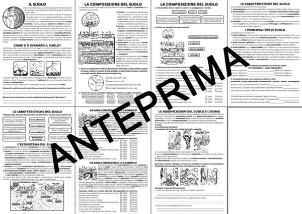 SCIENZE: IL SUOLO / TERRENO PER LA CLASSE TERZA - SCUOLA PRIMARIA