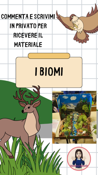 I BIOMI 🌍✨