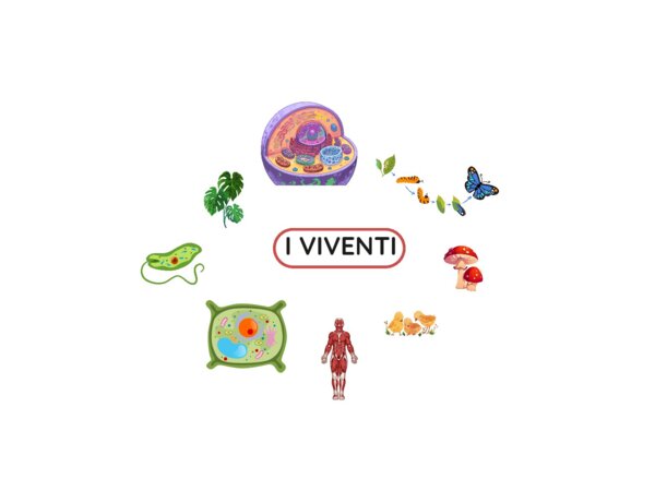 I VIVENTI E LA CELLULA