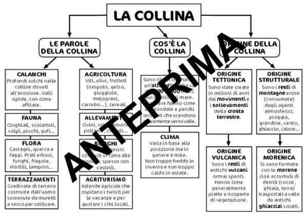 MAPPA DELLA COLLINA PER LA CLASSE TERZA E/O QUARTA - SCUOLA PRIMARIA