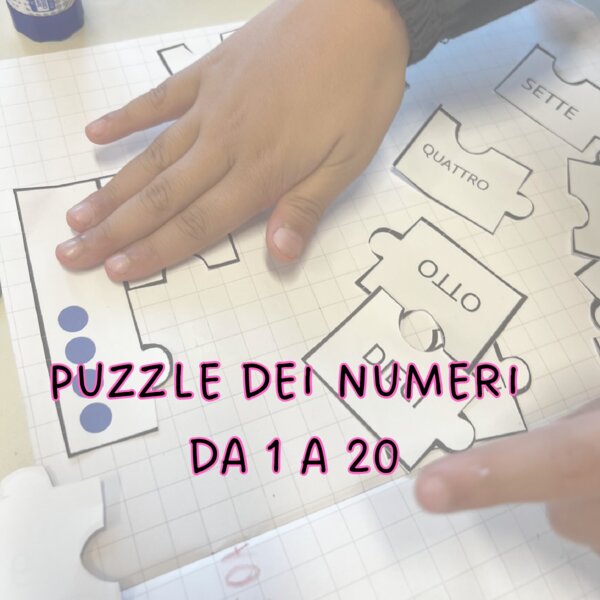 il puzzle dei numeri da 1 a 20