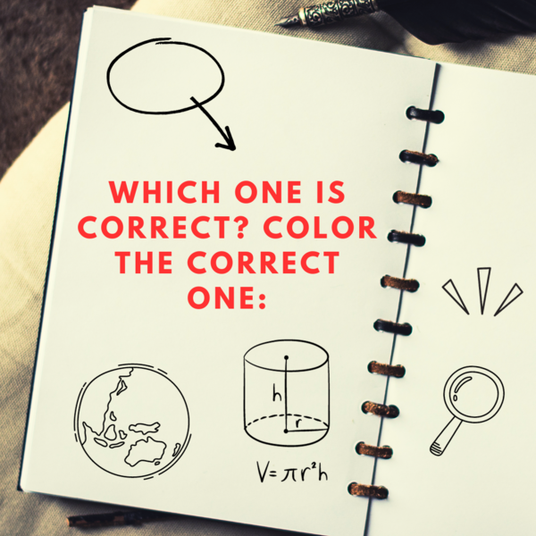 Which one is correct