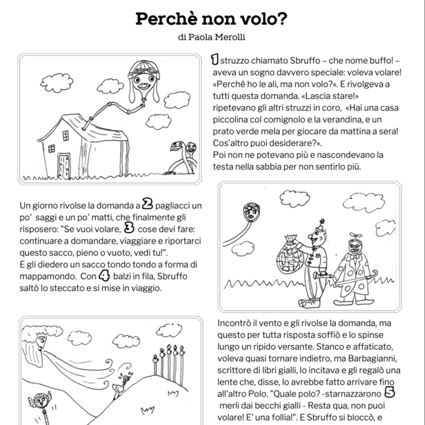 Perché non volo? - schede didattiche