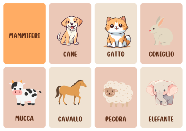 Flashcard animali