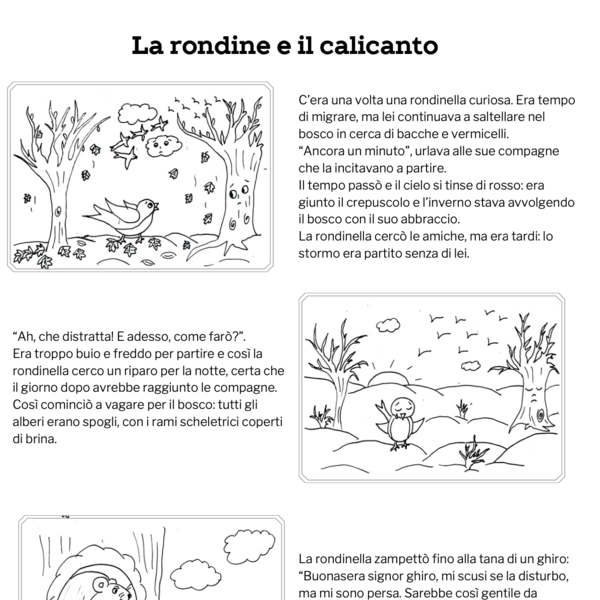 La rondine e il calicanto - leggenda