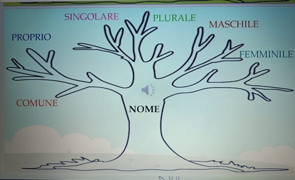IL NOME - PERCORSO BASE DI CONOSCENZA DELLA suddetta CATEGORIA LESSICALE E GRAMMATICALE