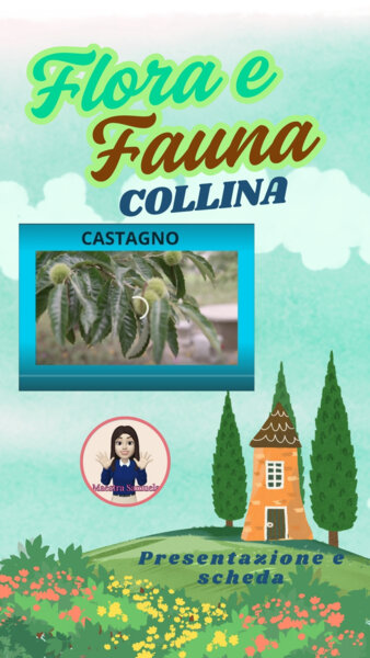 🌄 Scopri la flora e fauna delle colline! 🌿