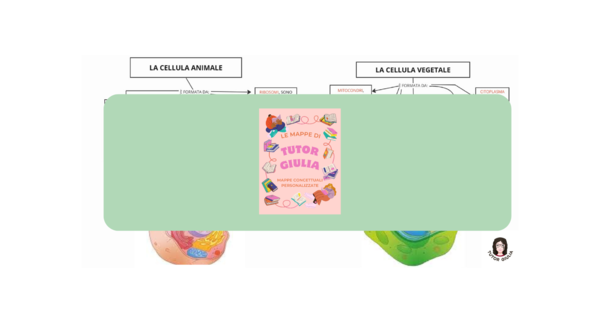 LA CELLULA ANIMALE LA CELLULA VEGETALE