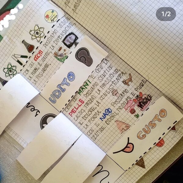 Lapbook I cinque sensi
