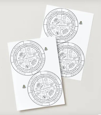 Ruota dei mesi e delle stagioni