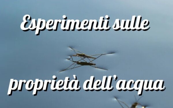 Esperimento scienze: la capillarità e la tensione superficiale
