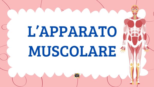 L'APPARATO MUSCOLARE - QUADERNO DI SCIENZE CL. 5^ -