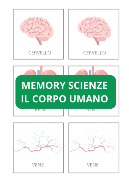 MEMORY SCIENZE IL CORPO UMANO