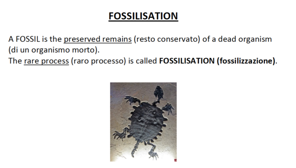 CLIL: Fossilisation