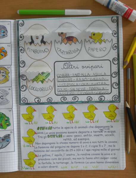 Gli Ovipari interattivi