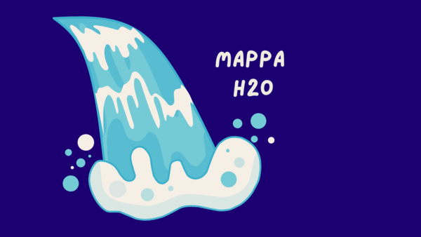 LA MAPPA DELL'ACQUA