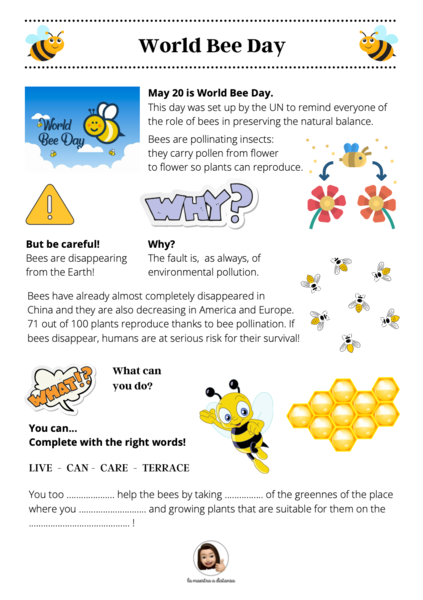 World Bee Day