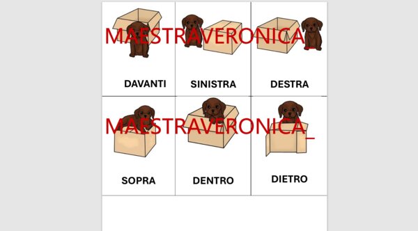 CONCETTI TOPOLOGICI - FLASHCARDS