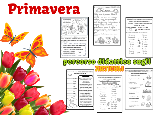 PRIMAVERA.. percorso didattico sugli articoli
