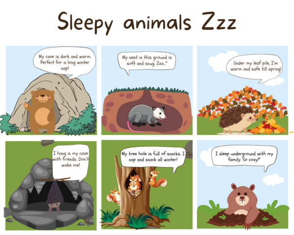Sleepy Animals