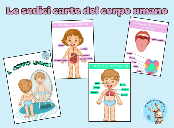 Le carte del corpo umano