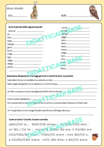 Ripasso/Verifica ortografia e grammatica