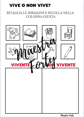 VIVE O NON VIVE?