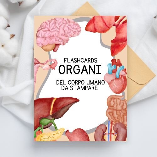 Flashcard parti del corpo