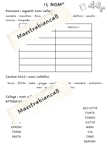 Verifica facile su nomi femminili, maschili, collettivi, composti, primitivi, derivati