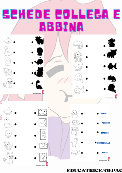 schede didattiche collega e abbina