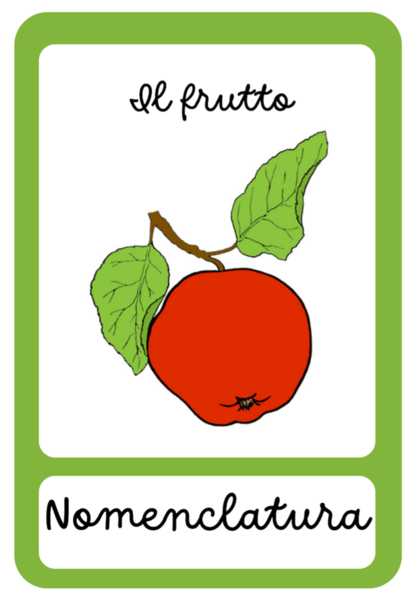 Nomenclatura arricchita Montessori: il frutto
