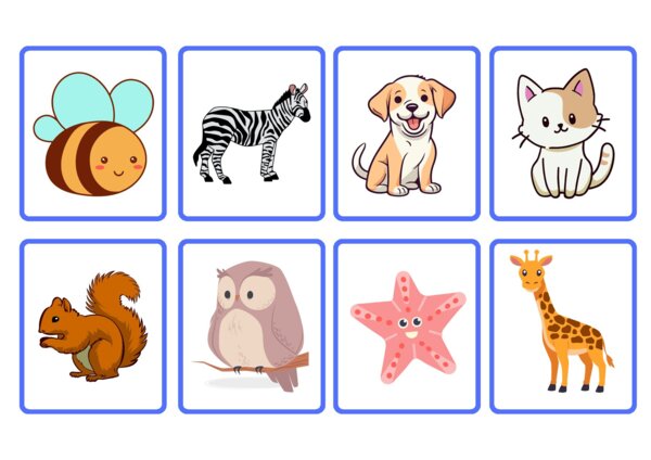 Flashcard CAA- recettivo-matching
