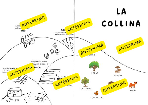 Schema - LA COLLINA