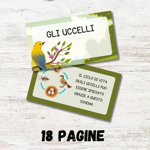 Gli uccelli scuola primaria PDF - presentazione
