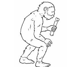 Verifica di storia/ Esercizi di ripasso: ERA TERZIARIA, mammiferi, primati, ominidi, australopitechi.