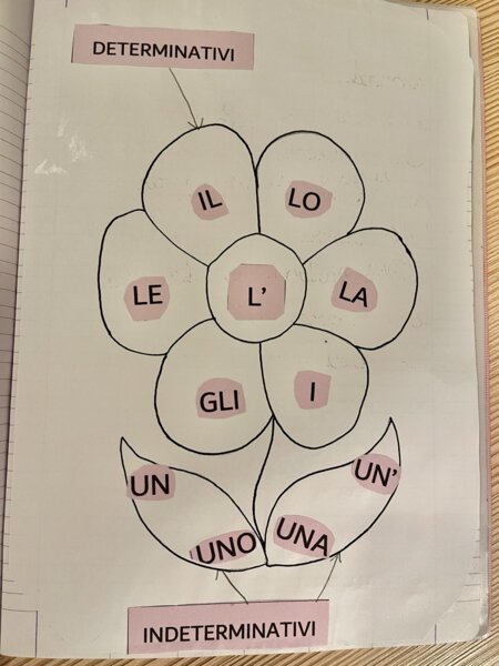 IL FIORE DEGLI ARTICOLI