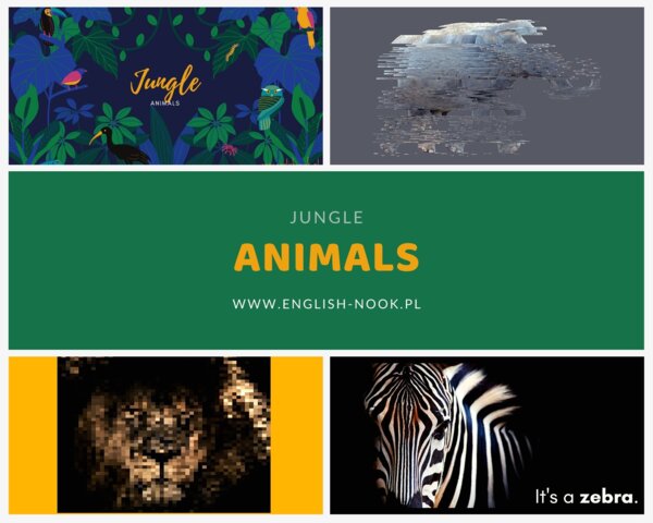 Jungle animals