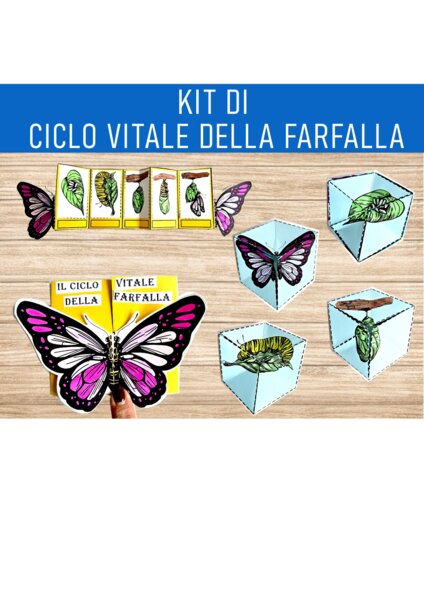 kit di ciclo vitale della farfalla