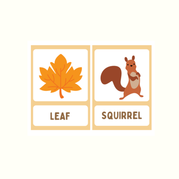 FLASHCARD AUTUMN