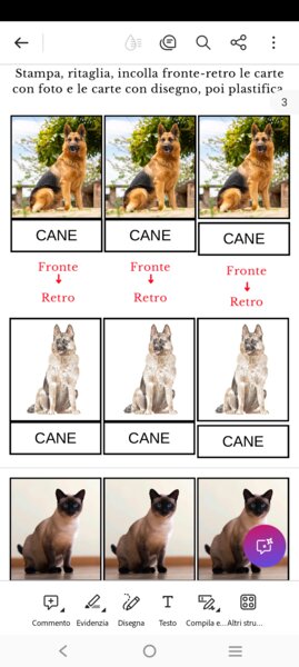 Le carte degli animali