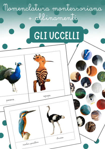 🕊️ Nomenclature stile Montessori – Conosciamo gli Uccelli!